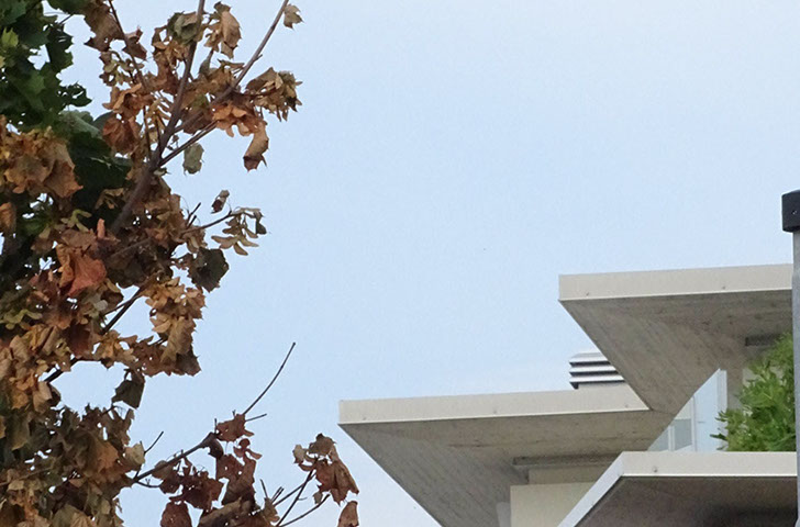 condominio vetro c.a.