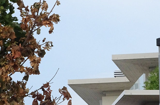 condominio vetro c.a.