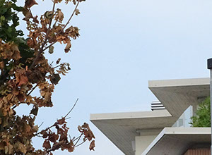 condominio vetro c.a.