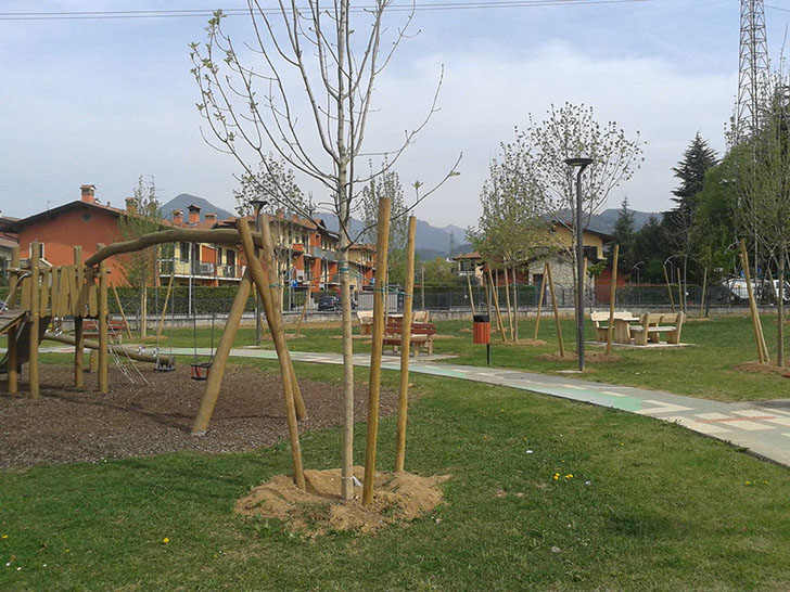 alberi giochi parco