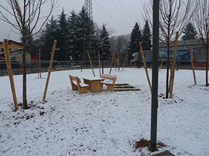 inverno alberi panchine