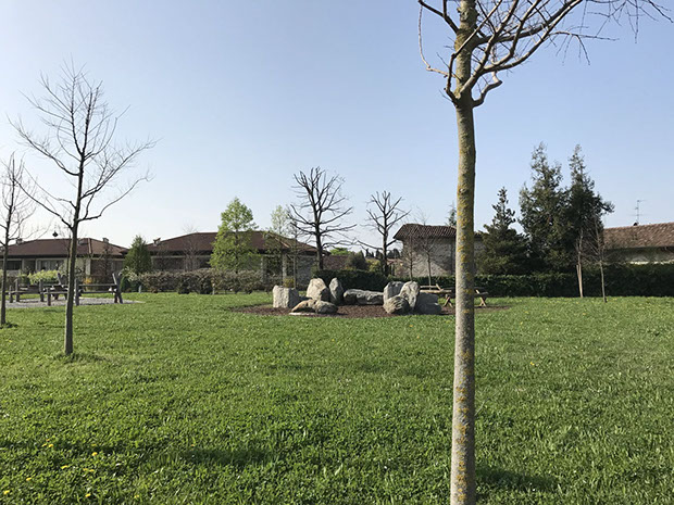 parco alberi