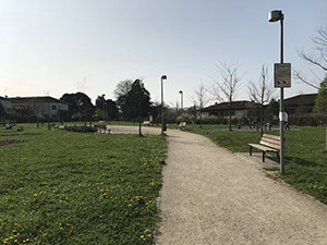 parco vialetto panchine